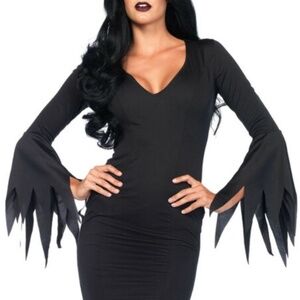 Leg Avenue  Floor Length Gothic Dress Costume